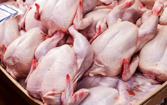 مرغ در بازار امروز کیلویی چند؟ (۹۹/۰۷/۳۰) + جدول قیمت