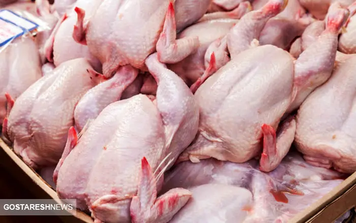کاهش چشمگیر وزن مرغ در بازار 
