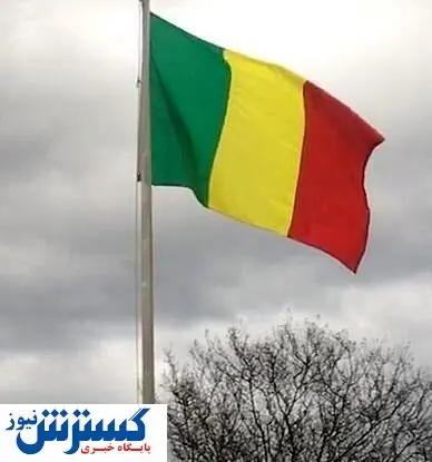 فوری/ یک گور دسته جمعی کشف شد!