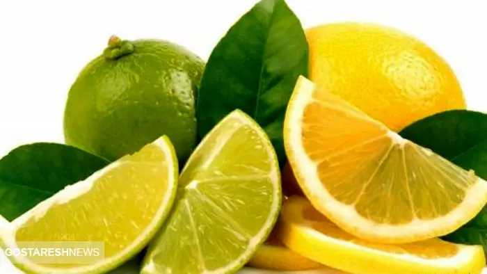 قیمت باور نکردنی لیمو ترش در بازار