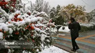 تصاویر/ اولین برف پاییزی در اردبیل رویت شد