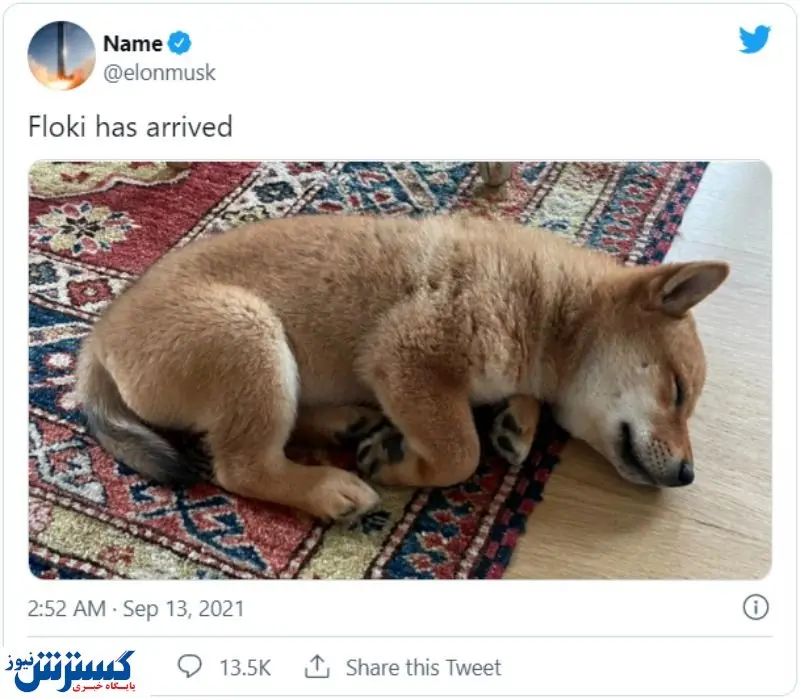 معرفی دوج کوین جدید توسط ایلان ماسک!