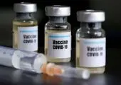    واکسیناسیون لاکپشتی به درد کسی نمی خورد!