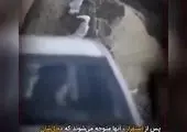 تیم داعشی در مناطق نزدیک به ایران دستگیر شد