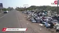 غوغای زباله در سرزمین سبز! + فیلم