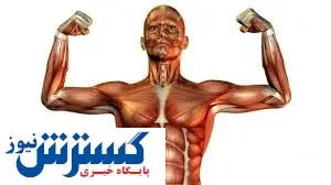 این پروتئین عضلات را تقویت می کند