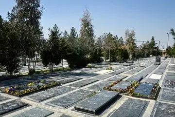 تأمین اجتماعی برای بیمه شدگان سنگ تمام گذاشت !