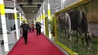 برگزاری بزرگترین نمایشگاه دام طیور خاورمیانه در سایت تهران