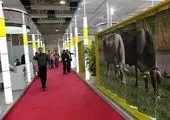 نمایشگاه تهران، پارک تجاری می شود 
