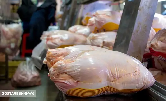 ادامه روند ریزشی قیمت مرغ در بازار 
