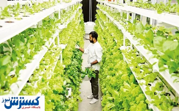 ستاد کشاورزی و غذا تشکیل میشود