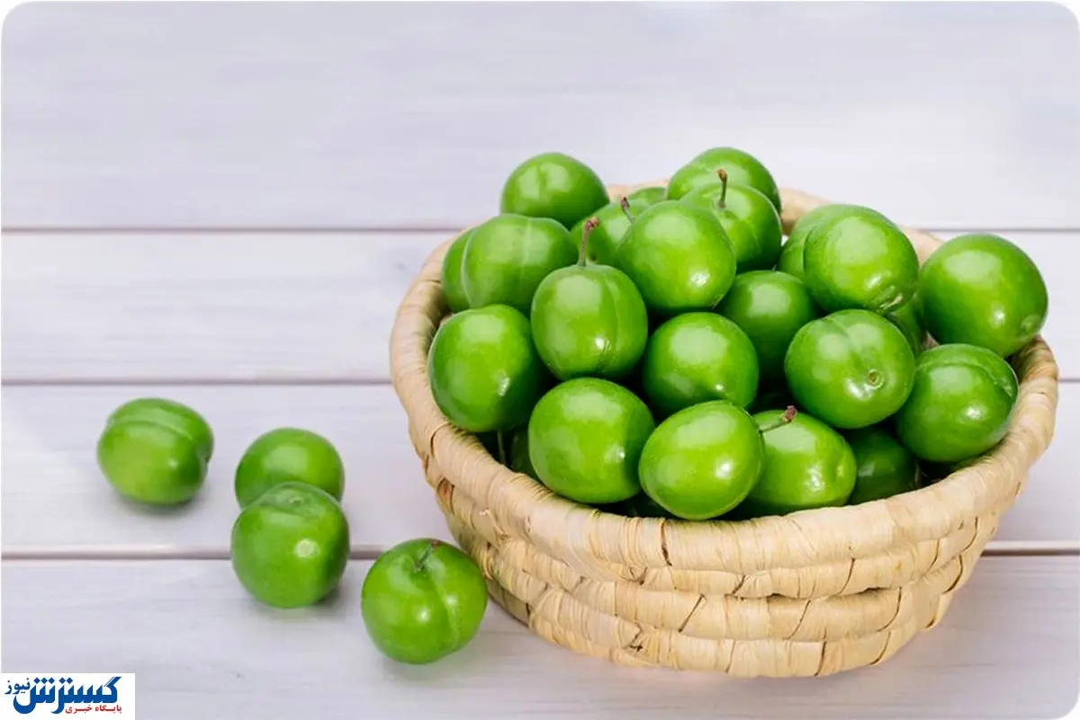 قیمت لاکچری گوجه سبز /  ۵ عدد نیم میلیون تومان فروخته شد!