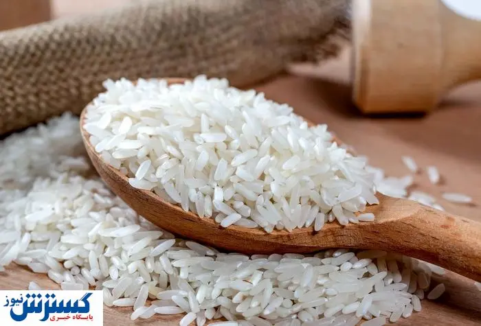 وضعیت برنج در بازار فوراً اعلام شد