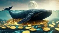 نهنگ ها کدام رمزارز را انبار کردند / برترین ارزهای دیجیتال بازار