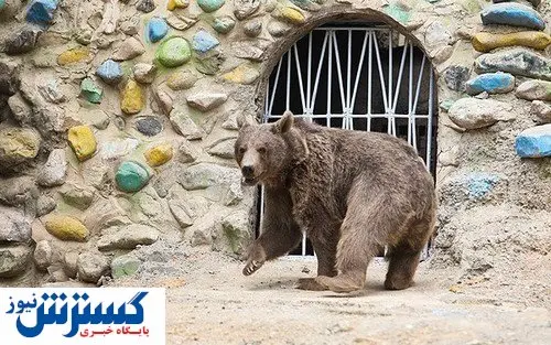 باغ وحش ها تعطیل می شوند؟