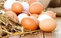 افزایش قیمت تخم مرغ طبیعی است / زمان اعلام نرخ های جدید