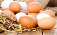 خبر خوش درباره صادرات تخم مرغ / قیمت ها بعد از ماه رمضان تغییر می کند؟
