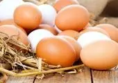 قیمت جدید هر شانه تخم مرغ در بازار / تخم مرغ ۲ زرده چند؟