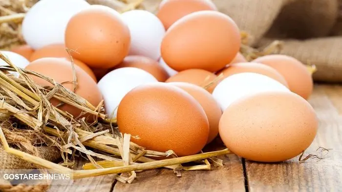 قیمت تخم مرغ در بازار ( ۷ آذر)
