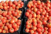آخرین جزئیات درباره گوجه ۷۰ هزار تومانی / بازار به آرامش برمی گردد؟