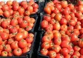 قیمت گوجه فرنگی از دلار جلو زد! / تنظیم بازار به عهده کیست؟