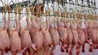 کاهش ۱۷ درصدی عرضه گوشت طیور در تیر ماه