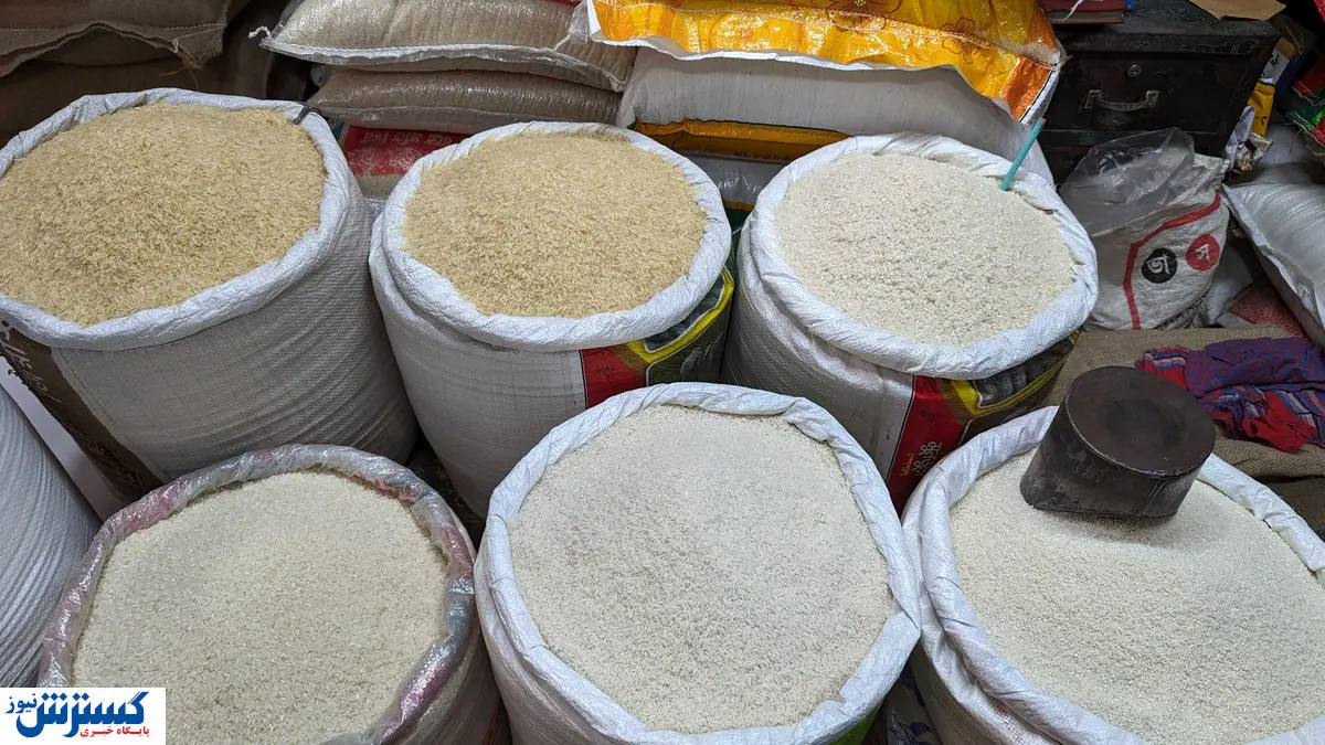 برنج رسماً از سفره مردم پَر کشید (8 آبان 1404)