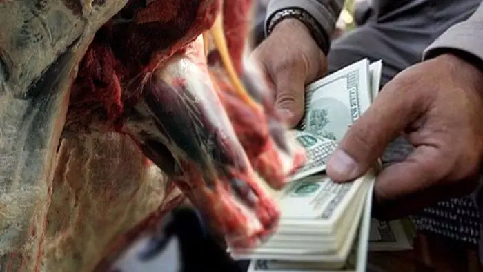 دام ایران، ارزان برای کشورهای همسایه