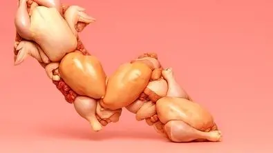 قیمت مرغ رسماً بازار را به هم ریخت (۱۲ آذر)