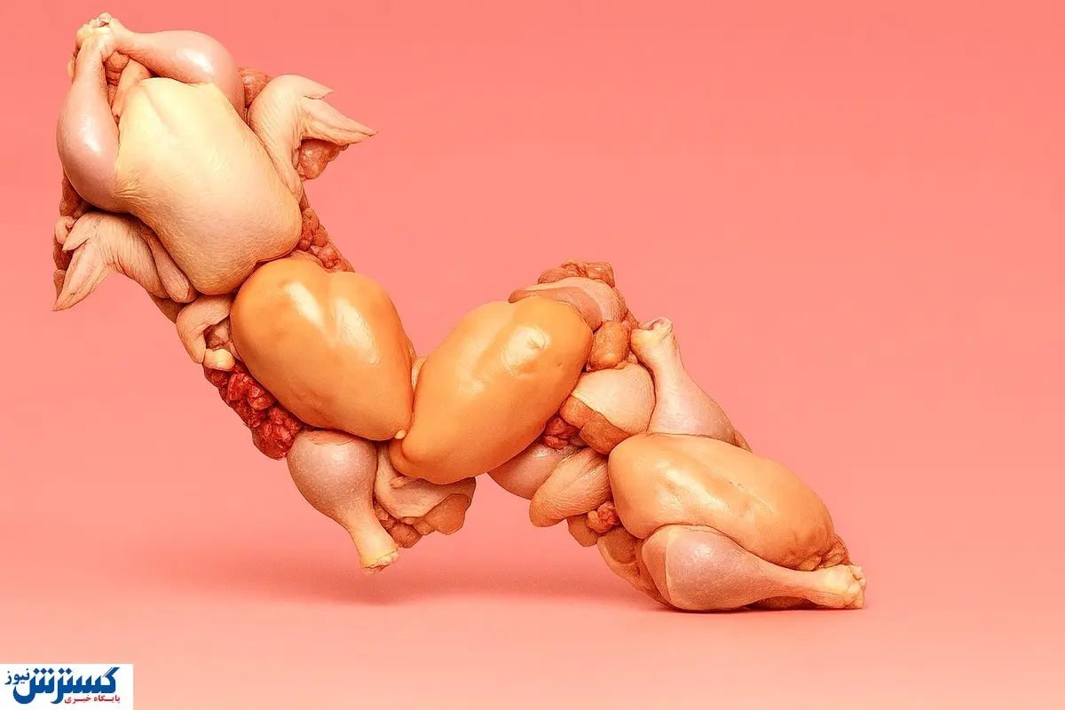 قیمت مرغ رسماً بازار را به هم ریخت (12 آذر)