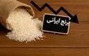 واردات روی میز دولت | ارزانی عظیم قیمت برنج در راه است 