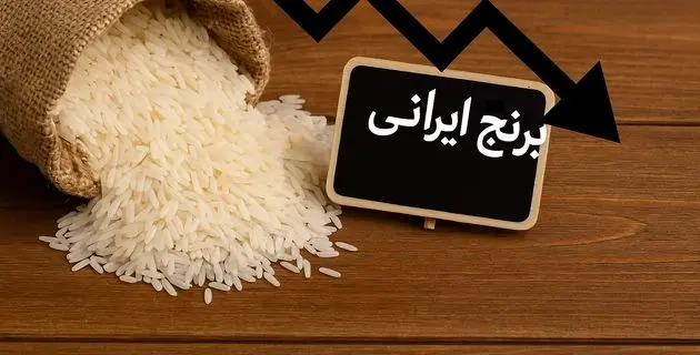 واردات روی میز دولت | ارزانی عظیم قیمت برنج در راه است 