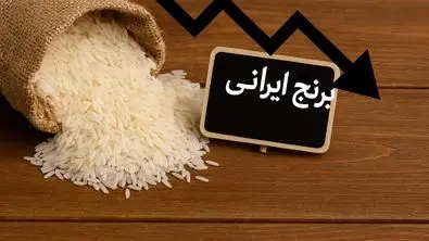 واردات روی میز دولت | ارزانی عظیم قیمت برنج در راه است 