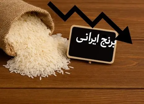 پایتخت برنج ایران زیر تیغ واردات | حداقل قیمت برنج اعلام شد