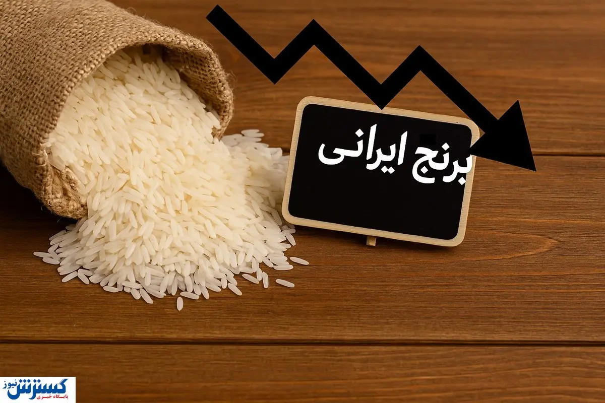 خبر رسمی درباره برنج اعلام شد | وضعیت کشاورزان در فصل فروش