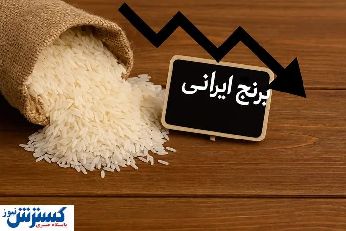 واردات روی میز دولت | ارزانی عظیم قیمت برنج در راه است