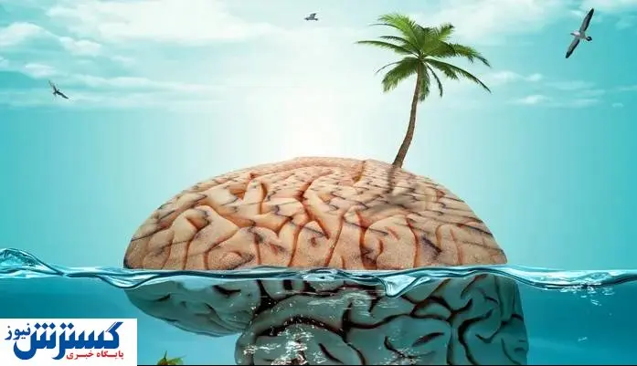 تاثیرات مثبت گرفتن مرخصی بروی مغز 