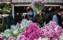 دست جنوبی‌نشین‌های تهرانی‌ از بازار گل کوتاه شد