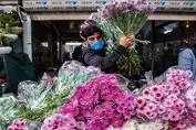 دست جنوبی‌نشین‌های تهرانی‌ از بازار گل کوتاه شد