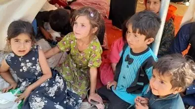 زاد و ولد انفجاری افغانستانی‌ها تهدیدی برای اقتصاد ایران