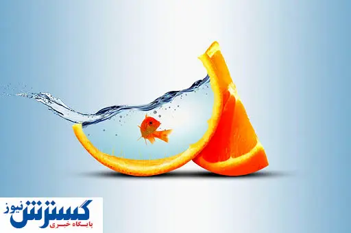 واردات آب مجازی، ابزاری برای حل مشکل کم آبی!