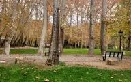نهال گردشگری در شیراز غرس شد/در راستای طرح مردمی کاشت یک میلیارد درخت 