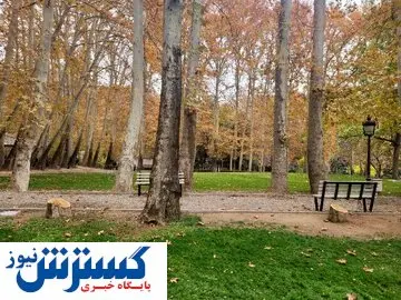 ماجرای قطع درختان سعدآباد به کجا رسید؟/مقصر اصلی شناخته شد