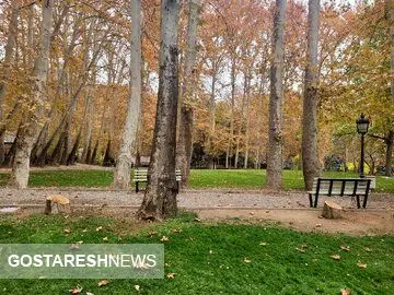 نهال گردشگری در شیراز غرس شد/در راستای طرح مردمی کاشت یک میلیارد درخت 