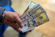 تسهیلات ارزی بلعیده شد ؛ خبری از بازگشت نیست!