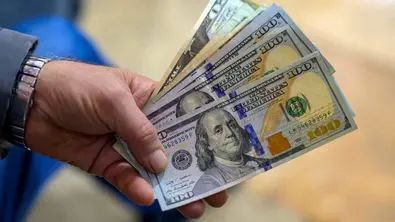 تسهیلات ارزی بلعیده شد ؛ خبری از بازگشت نیست!