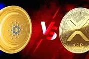 جنگ کاردانو و رپیل در سال ۲۰۲۴ / پیروز میدان کدام است؟