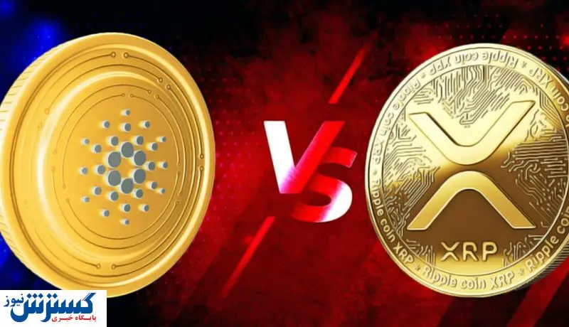 جنگ کاردانو و رپیل در سال ۲۰۲۴ / پیروز میدان کدام است؟