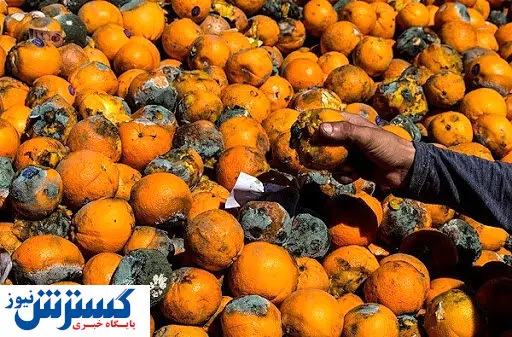 قحطی خاموش؛ از خرید میوه های پلاسیده تا پوست مرغ