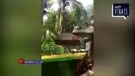 حمله پلنگ از داخل سرویس بهداشتی به یک مرد! + فیلم